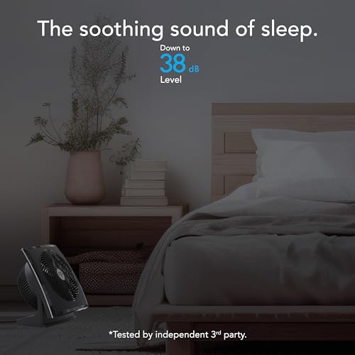 Whole Room Air Circulator Fan - 673T Large Black Vornado 3-Speed Pivoting Head