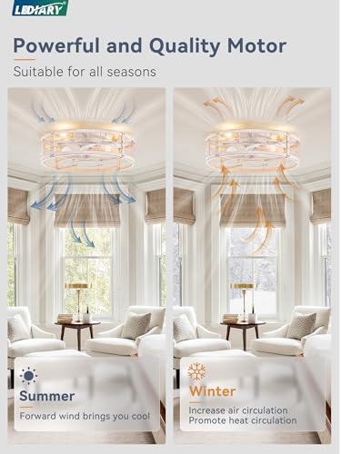 LEDIARY 20" White Gold Caged Low Profile Ceiling Fan with Light and