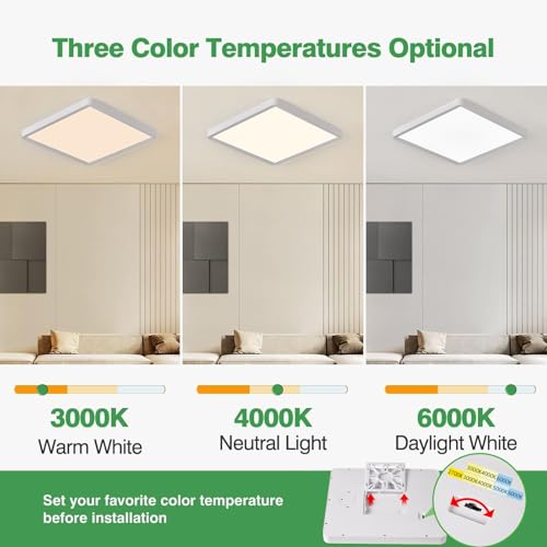FY WISDOM FLY LIGHTING 20 Inch LED Flush Mount Ceiling Light 45W 4500LM 3CCT White 2-Pack