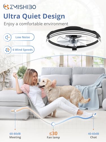 Black 20-Inch Low Profile Ceiling Fan with Lights & Remote Control