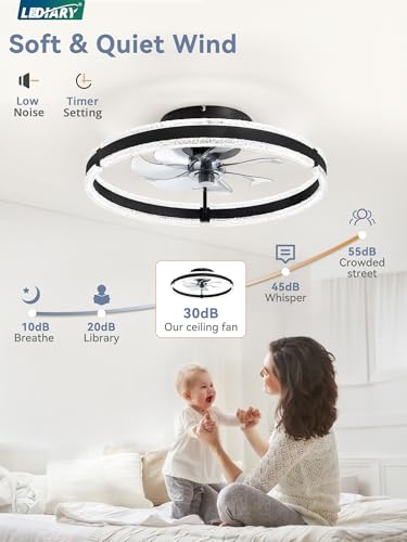 20-Inch Ceiling Fan with Lights and Remote - Black Low Profile Modern Flush Mount