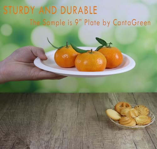 Heavy Duty Compostable Paper Plates 6 Inch Biodegradable Bagasse & Bamboo - 500 Count
