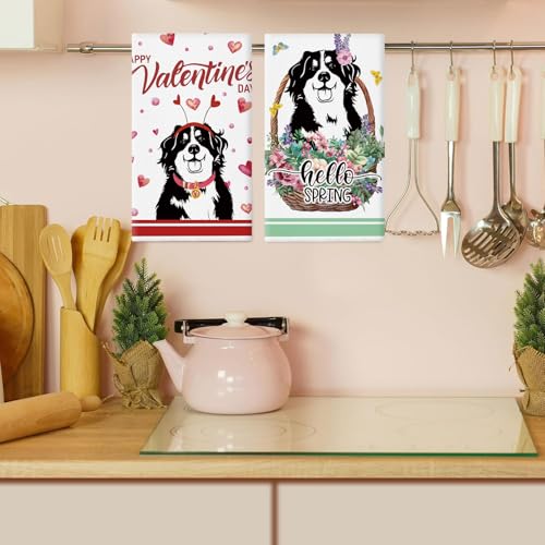 Bernese Mountain Dog Kitchen Towels - 11 Pcs 14x21 Inch Holiday & Gift Set