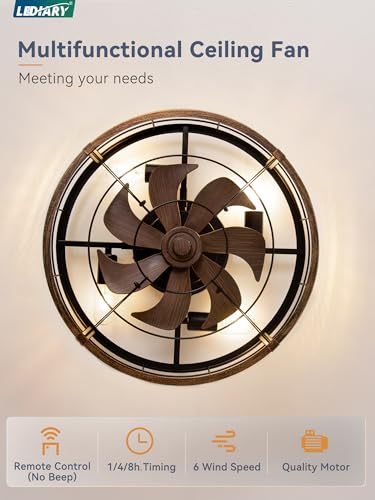 LEDIARY 23 Inch Black Gold Caged Low Profile Ceiling Fan with Light & Remote - Industrial Chic