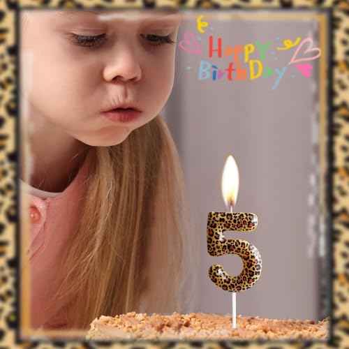 Leopard Print Birthday Candles Number 21,Cheetah Printing Birthday Number Candles, Animal Birthday Party Decorations Safari Candle Cake for Girls Gifts Anniversary Party Supplies