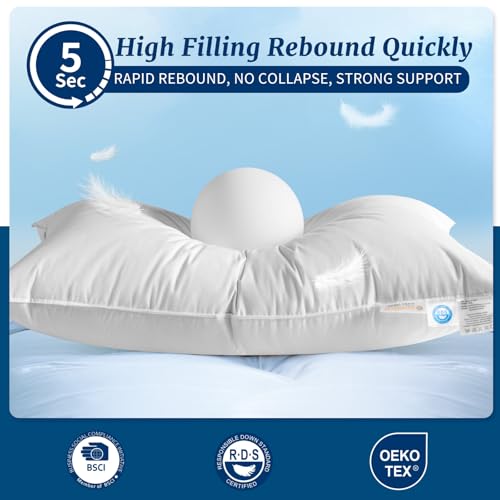 Queen Size Canadian Goose Down Pillow - 900 Fill Power White Luxury Bed Pillow - AiAngu