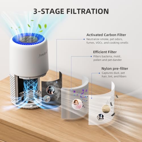 AromaRoom White Air Purifier for Home Smoke Pollen Dander & Hair, Effective Air Cleaner