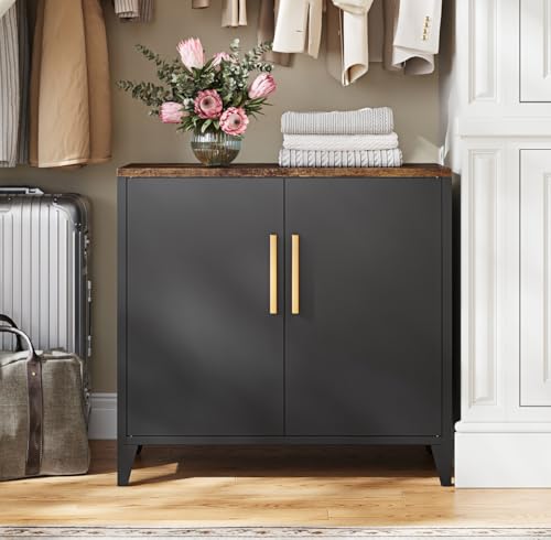 Letaya Metal Storage Cabinet with Doors - Small Kitchen Office Credenza, Black, 16 x 32 x 30 Inches