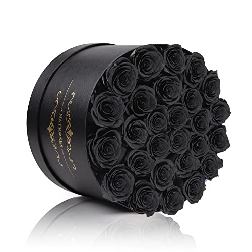 Black Preserved Roses in Elegant Gift Box - 27 Long-Lasting Flowers for Women