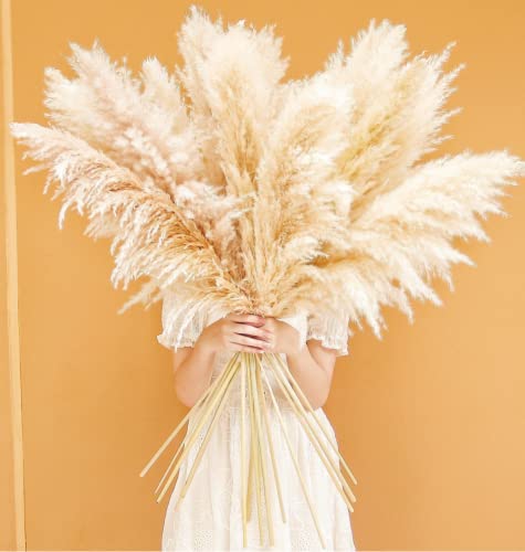20 Stems 40-Inch Natural Pampas Grass Decor Tall for Boho Wedding Party Farmhouse