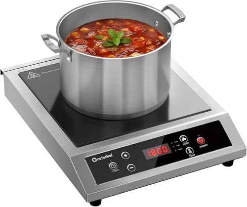 Stainless Steel Induction Cooktop, Professional-Grade Portable Burner