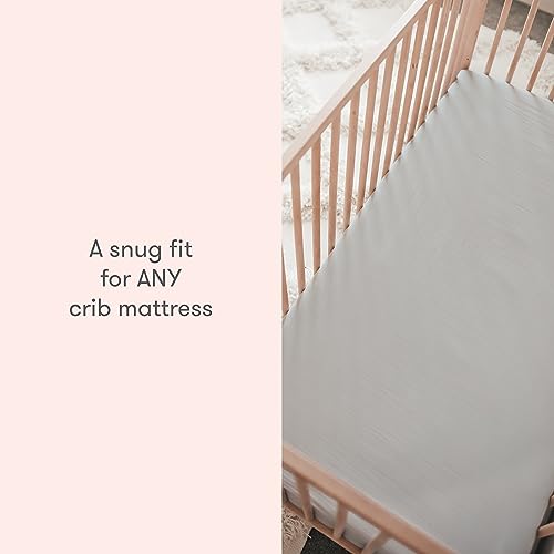 Newton Baby Organic Cotton Fitted Crib Sheet 2-Pack Oatmeal - Single-Layer, All-Around Elastic