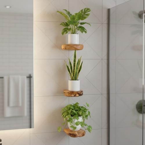 WELLAND Cedar Wood Floating Plant Shelves, Set of 3
