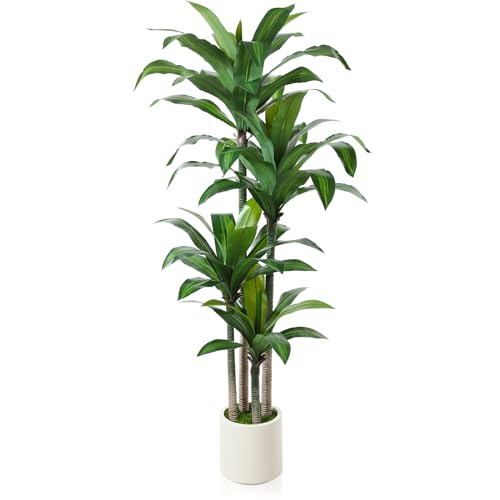OAKRED 6ft Artificial Dracaena Tree with White Planter – Realistic Faux Indoor Plant for Home & Office Decor