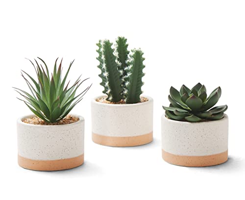 ASTRIDIA Artificial Succulent Plants Set of 3 in Burlywood Ceramic Pots
