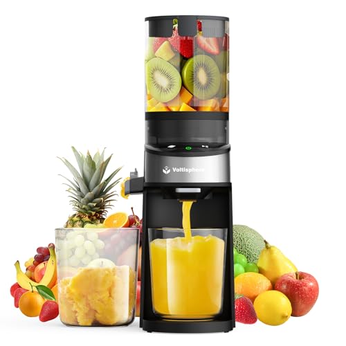 Cold Press Juicer Machine 400W with Wide Feed Chute - Silver Gray