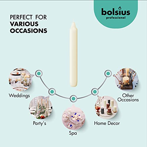 BOLSIUS Ivory Household Candles Bulk Pack 45 Count - Unscented