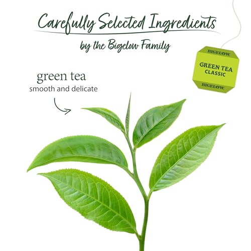 Green Tea Bags - 40 Count Pack of 6 | Classic Delicate Green Tea