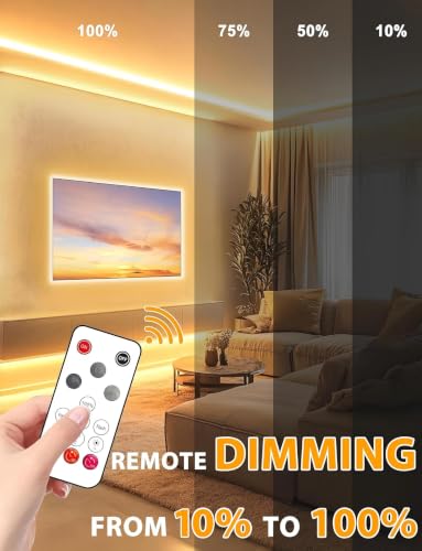 Lamomo 32.8ft Warm White COB LED Strip Lights Dimmable with Remote