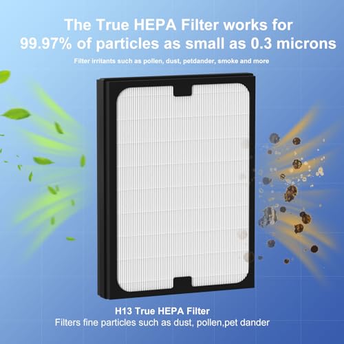 Ganteny Particle Filter Replacement for Blueair 200/300 Series Air Purifiers - 2 Pack, HEPA Filter, Compatible with Models 201-303, Air Cleaner, Vari: Particle Filter