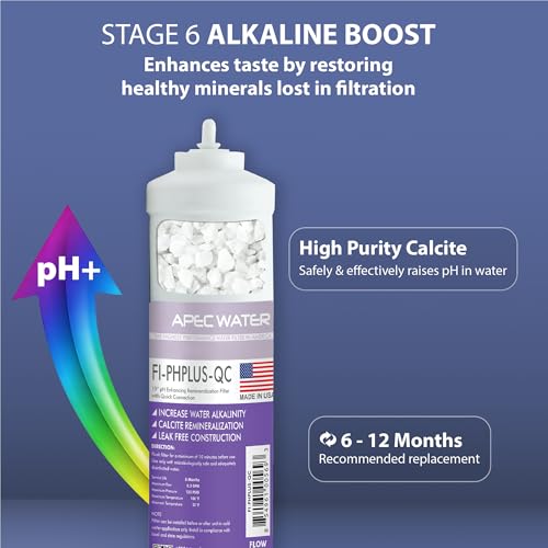 10-Inch PH Plus Calcium Carbonate Water Filter for pH Balance - Pack of 1