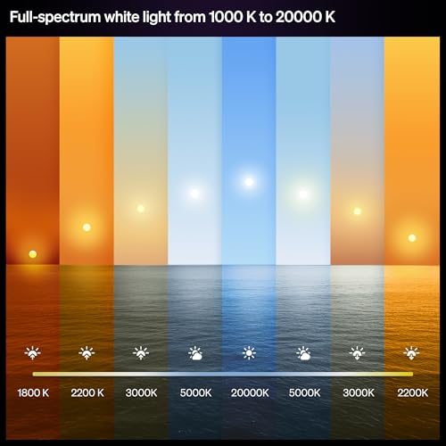 Philips Hue Slim Downlight Chromasync 1-Pack Recessed LED Ceiling Light - White