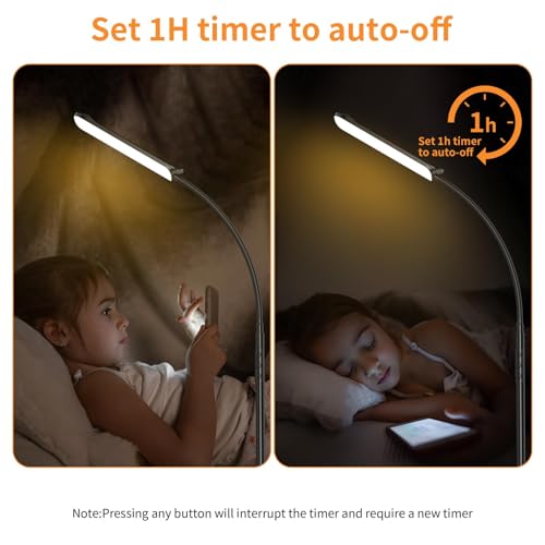 FRIDEKO HOME 2 Pack Black LED Floor Lamps with Dimming & Remote Control