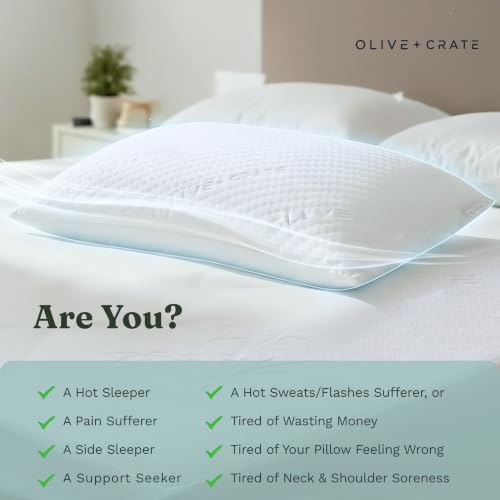 Adjustable Loft Shredded Memory Foam Pillow Queen Size - White / Classic
