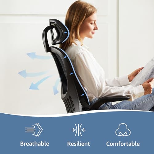 DUMOS Black Ergonomic Office Chair with Lumbar Support & Flip-up Armrests