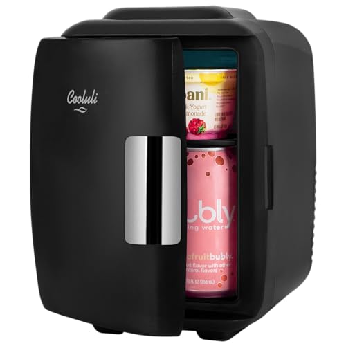 Mini Fridge Cooler & Warmer 4L - Portable Food & Skincare Storage - Black - 12V USB Included