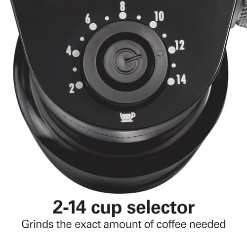 16oz Burr Coffee Grinder with Large Hopper - Hamilton Beach Electric Coffee Mill