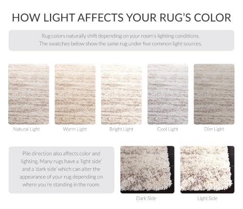 4x6 Shag Area Rug - Ivory & Beige Plush Floor Covering, Soft & Plush