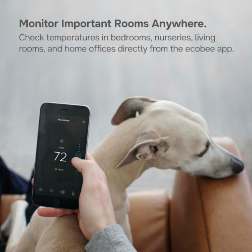 SmartSensor 2-Pack - Room Temperature & Occupancy Sensors for Home Automation