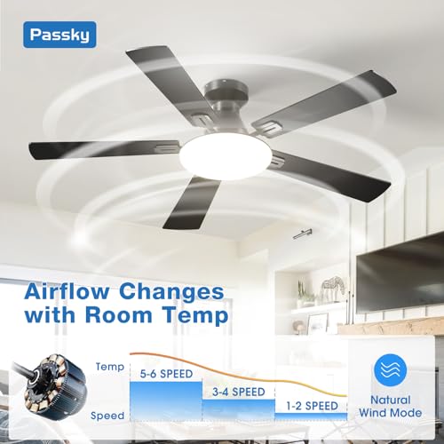 Black 52 Inch Low Profile Ceiling Fan with Lights & Remote - Modern & Quiet