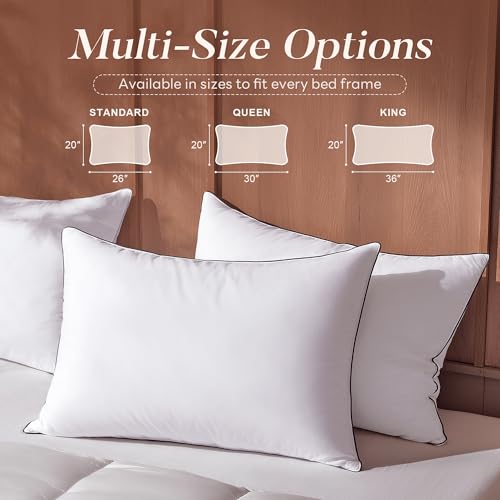 King Size Feather Down Pillow Set of 2 - Luxury Hotel Collection 20x36