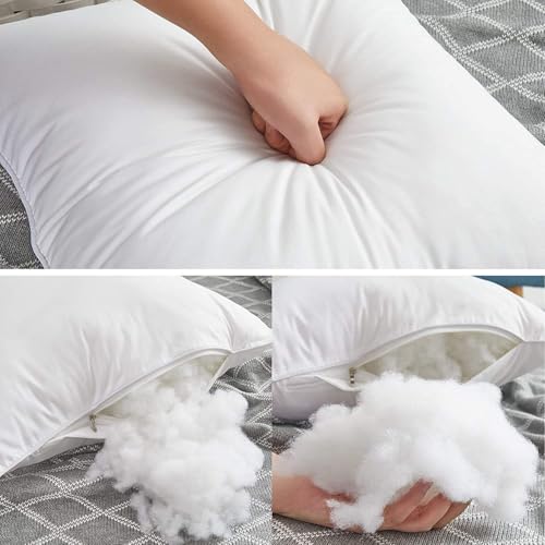 White 22x22 Inch Throw Pillow Inserts Set of 4 - Cotton Cover