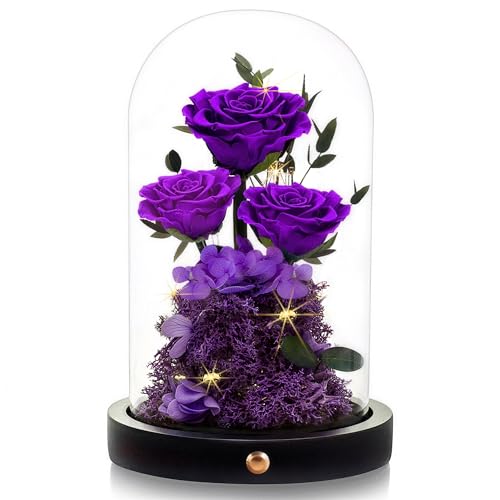 Purple Preserved Rose in Glass Dome - Forever Gift for Women, Mom, Wife, Girlfriend