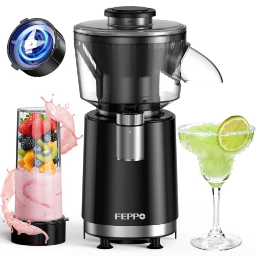 FEPPO Black 2-in-1 Snow Cone & Smoothie Maker 700W Ice Shaver Home Kitchen