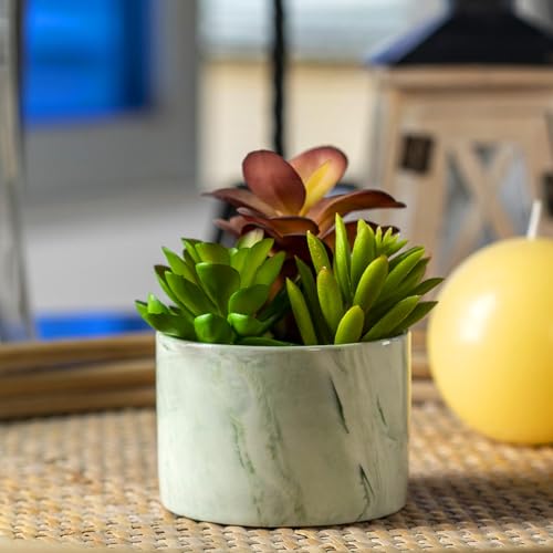 Artificial Plants Cute Colourful Succulents in Ceramic Planter Fake Plant Flowers Potted for Home Living Room Office Desk Decor Bathroom Bedroom Indoor Decoration