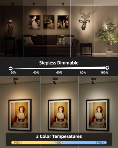 Black Rechargeable LED Picture Spotlight with Remote, Dimmable & Timer - 4-Pack
