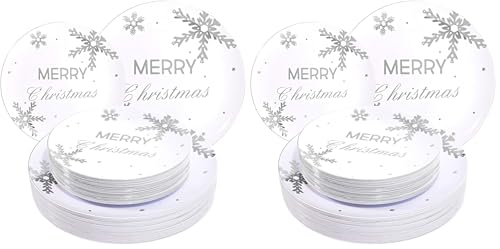 Silver Merry Christmas Snowflake Disposable Plates Pack of 2 | Elegant Holiday Tableware