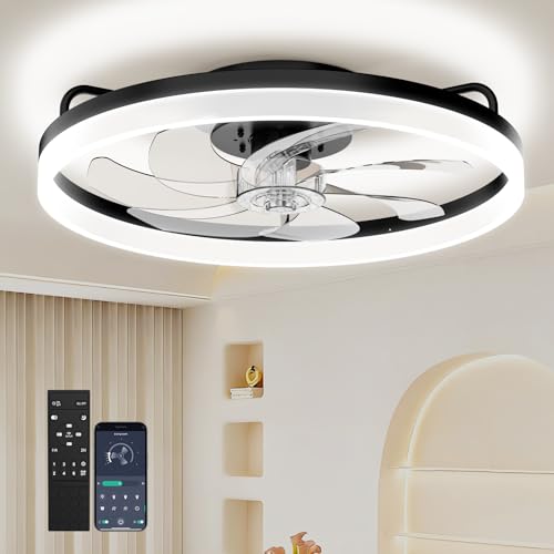 Amceiling 20 Inch Black Ceiling Fan with Lights, Easy Install & App Control