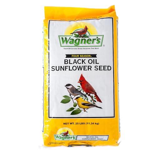 Wild Bird Food Black Oil Sunflower Seeds 25lb Bag - Attracts Songbirds