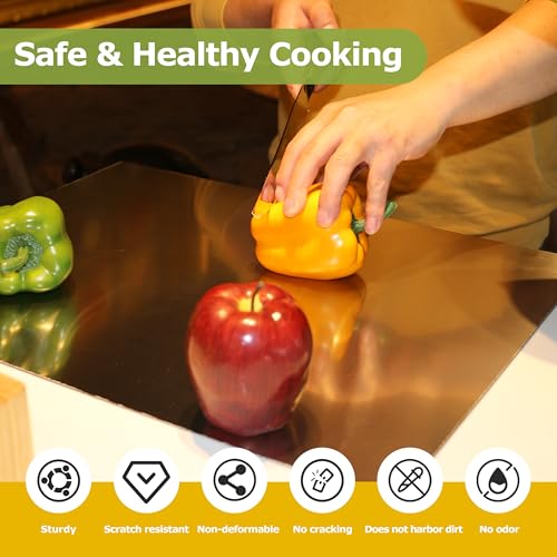 Large Stainless Steel Cutting Board with Lip - 23.6 x 15.7 Inches Kitchen Chopping Surface