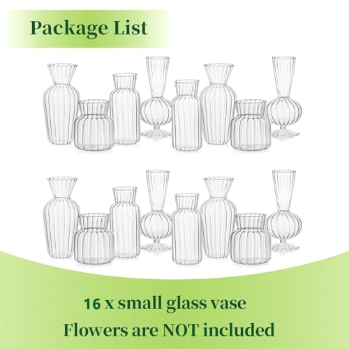 Mini Glass Vases for Centerpieces - Clear Bud Vase Set of 16, Small Flower Vases for Wedding & Home Decor - Hewory
