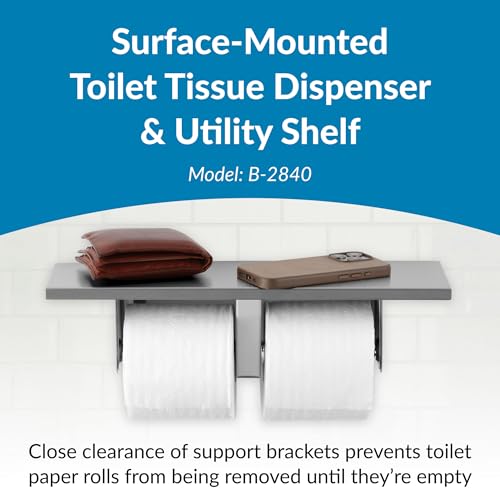 Stainless Steel Toilet Paper Dispenser for Commercial Restrooms - Dual Roll, Surface Mount