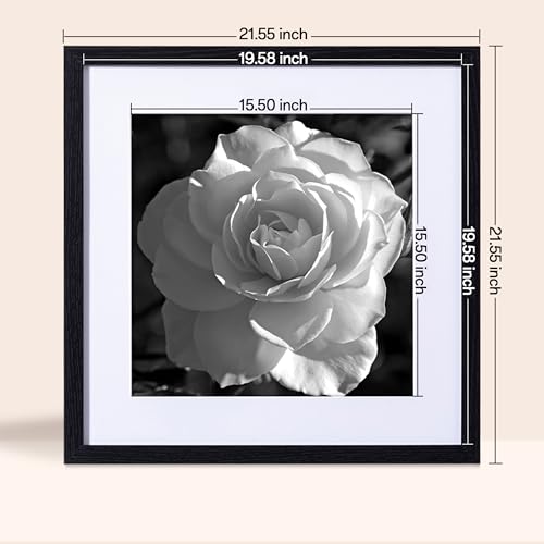 Gallery Wall Picture Frames Set of 9 - Black 20x20 Inches with Acrylic Cover - Includes 16x16 Size Variant