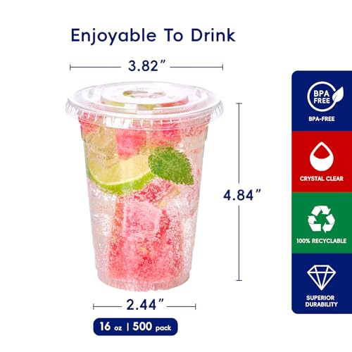 16oz Plastic Cups with Lids - Clear 500 Pack, Disposable PET Drinkware