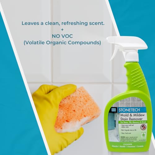 StoneTech Mold and Mildew Stain Remover Kit for Natural Stone and Tile, 2-Pack