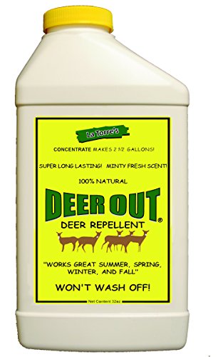 Deer Out 32oz Concentrate Deer Repellent - Natural, Rainproof, Pet Safe